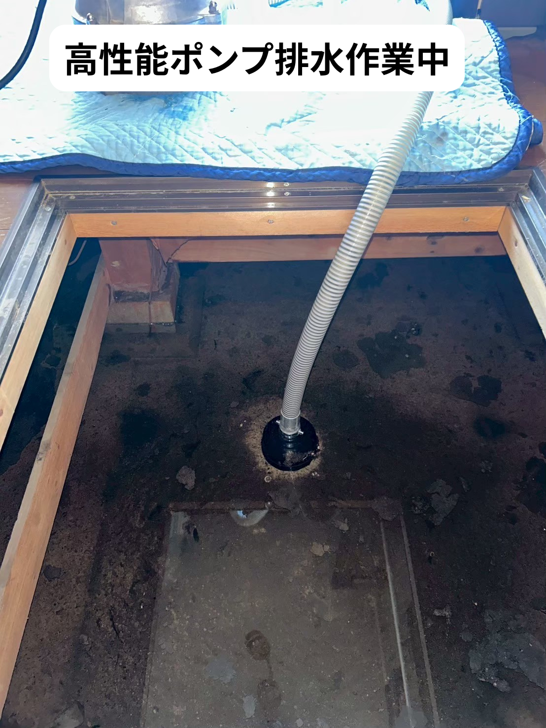 床下に溜まった水の汲み出し排水作業中